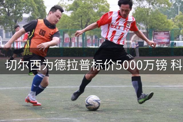 切尔西为德拉普标价5000万镑 科莫展开初步接触